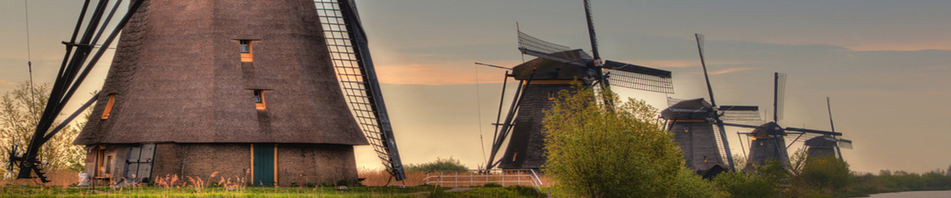 Cesur Benelux 